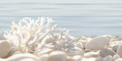 1f9fda669d8a69a3669d1cae434c47c1